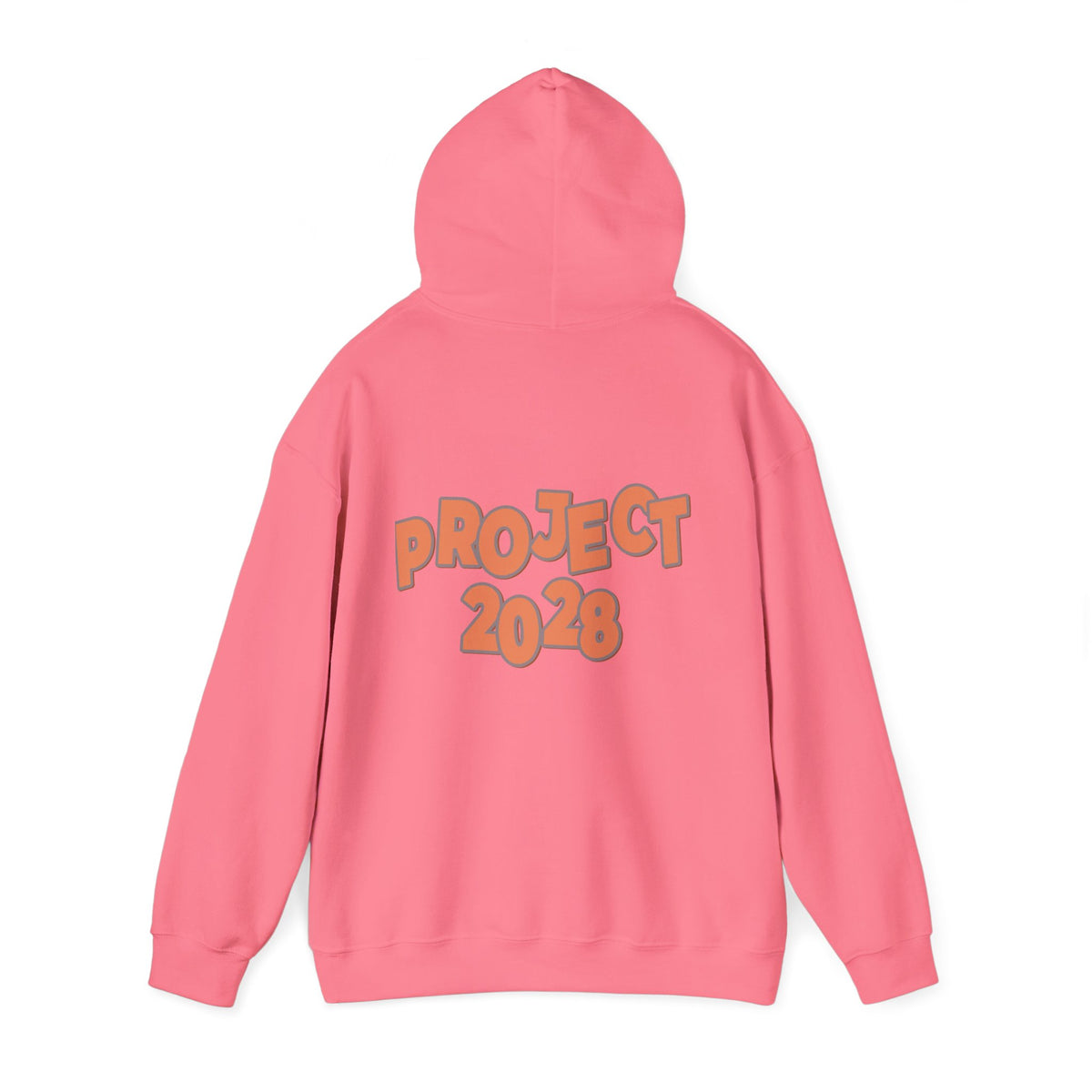 Protect Democracy Project 2028 Hoodie | Social Awareness