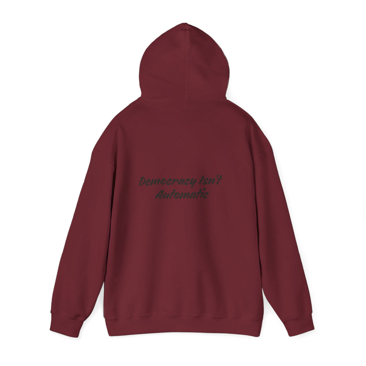 Protect Democracy Project 2028 Hoodie | democracy text design