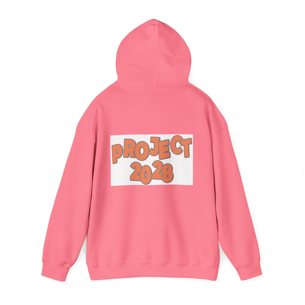 Project 2028 Hoodie | Retro Bubble Letter Design