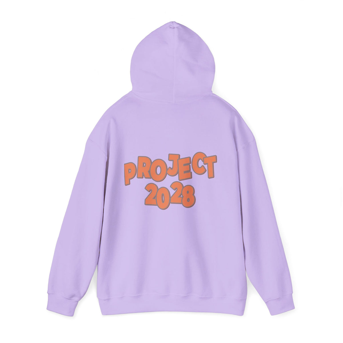 Protect Democracy Project 2028 Hoodie | Social Awareness