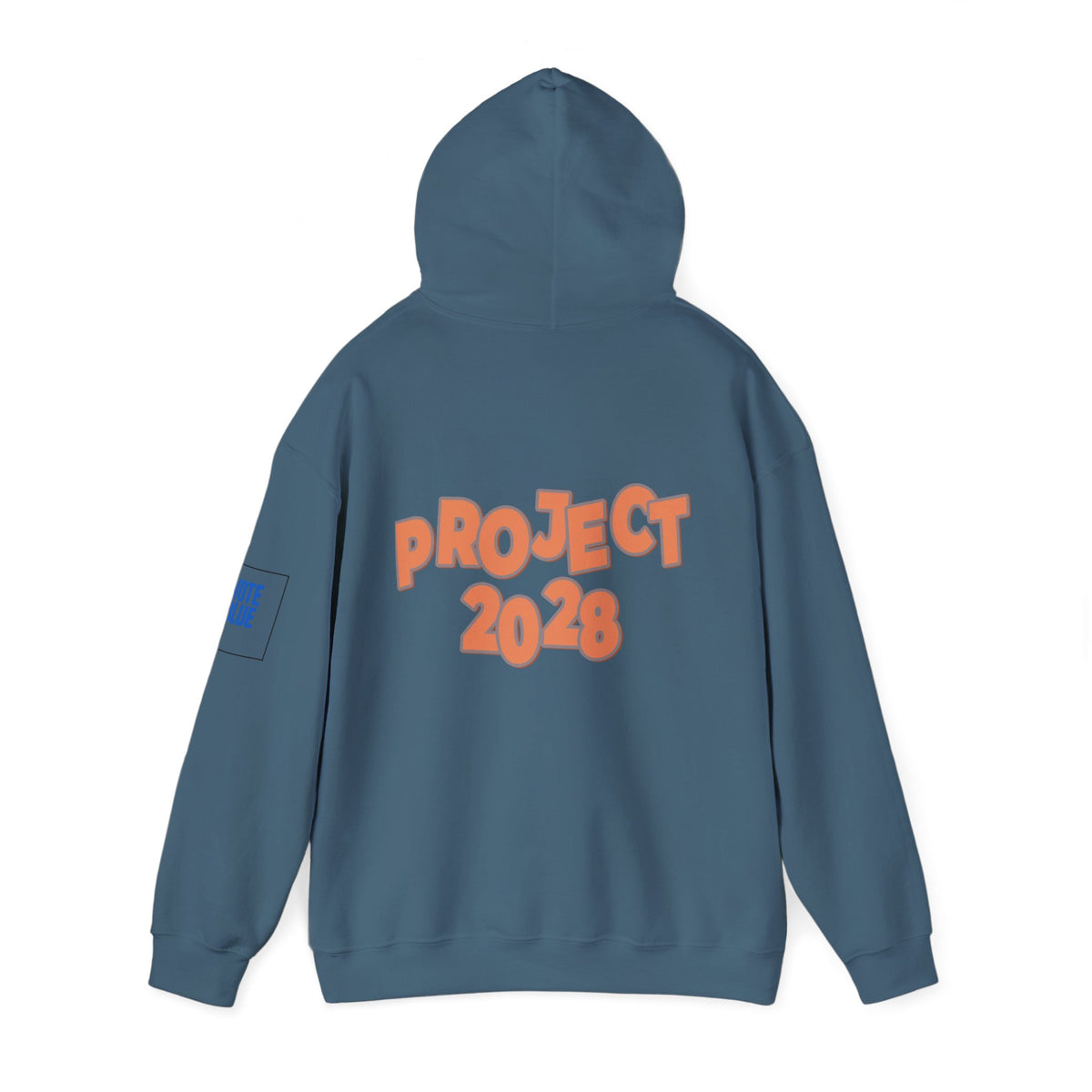 Protect Democracy Project 2028 Hoodie | Social Awareness