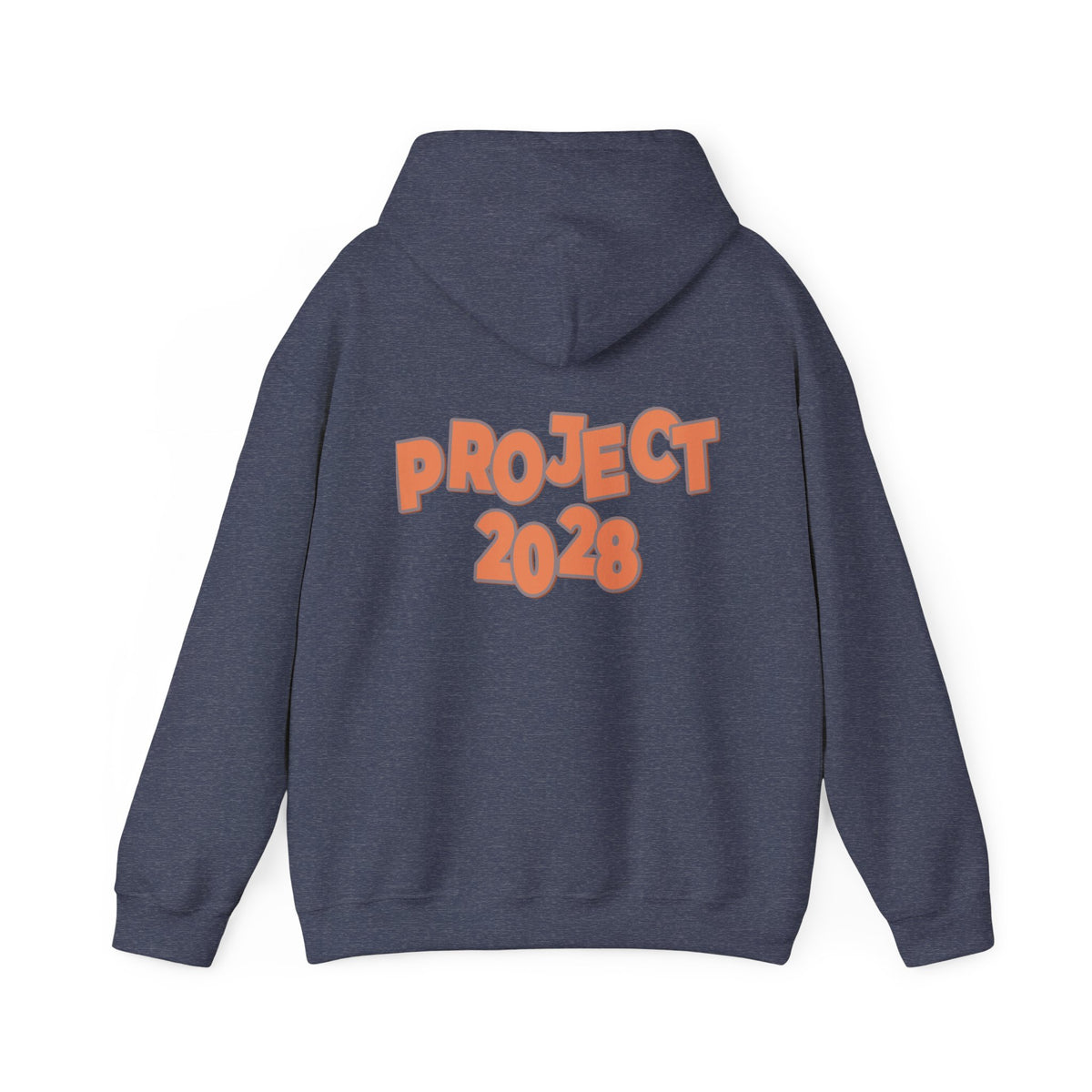 Protect Democracy Project 2028 Hoodie | Social Awareness
