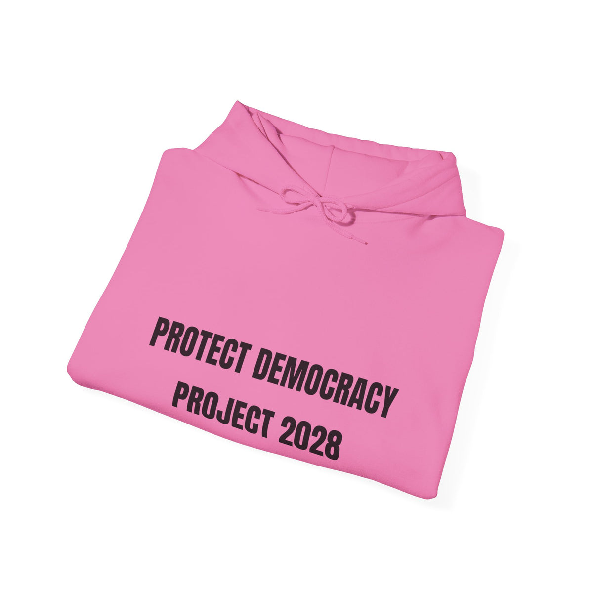 Protect Democracy Project 2028 Hoodie | democracy text design