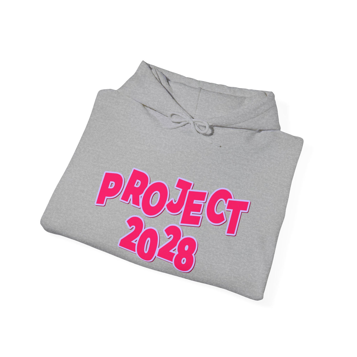 Project 2028 Hoodie | Social Awareness