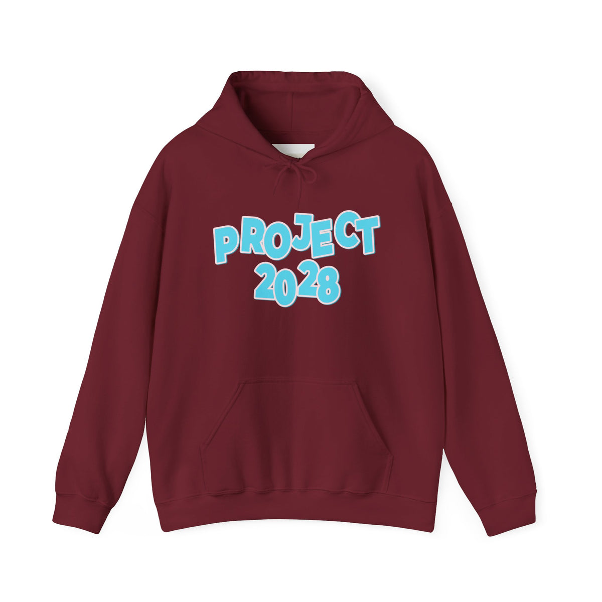 Project 2028 Hoodie | Democracy | Social Awareness