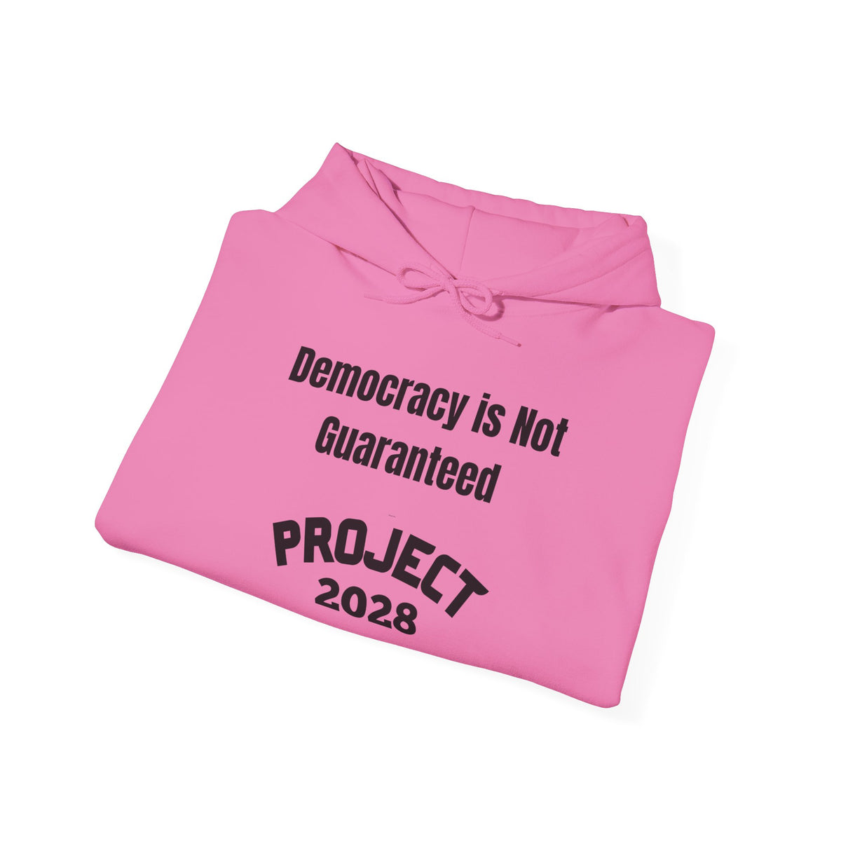 Project 2028 hoodie | Democracy | Social Awareness