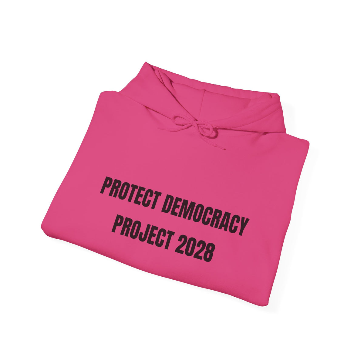 Protect Democracy Project 2028 Hoodie | Social Awareness