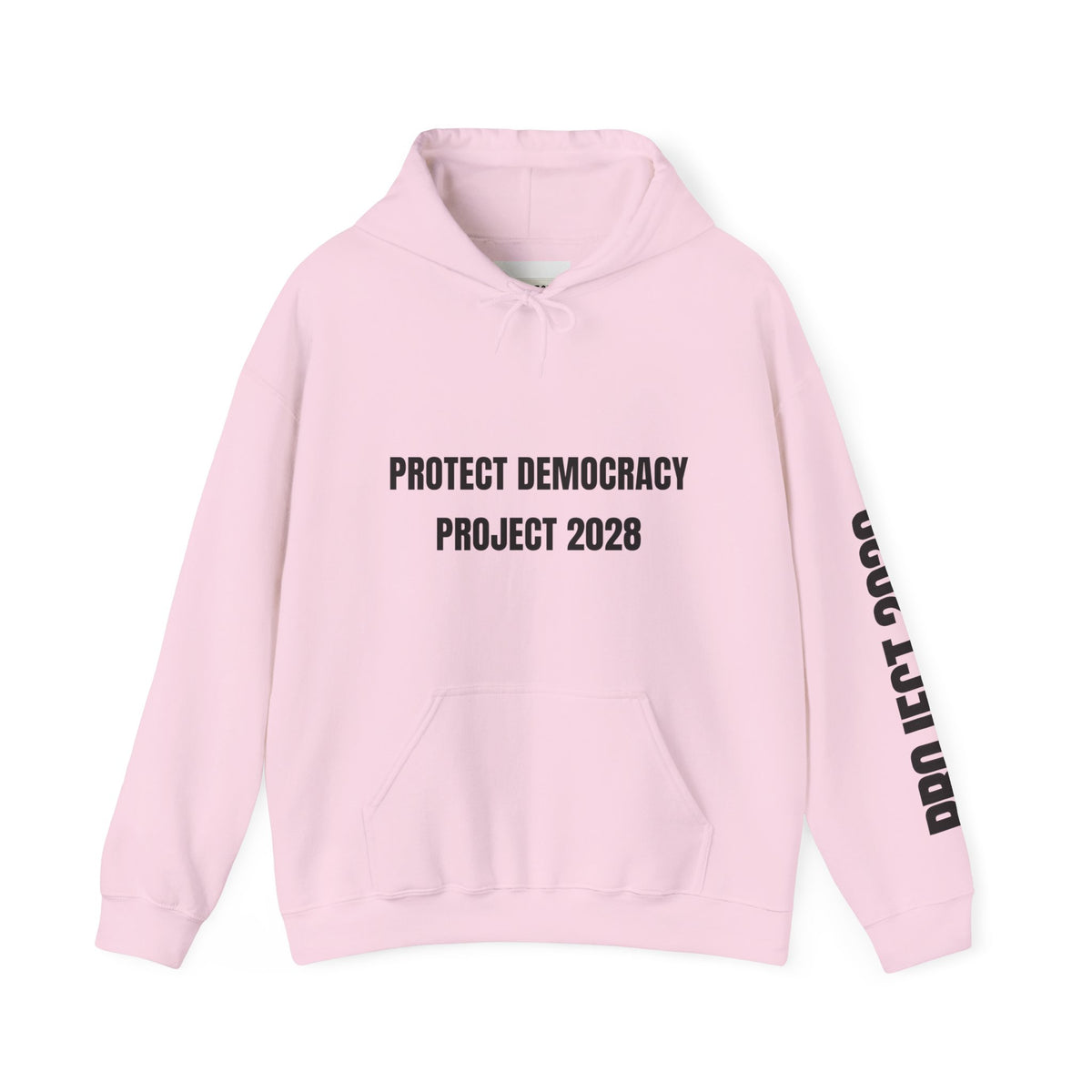Protect Democracy Project 2028 Hoodie | Social Awareness