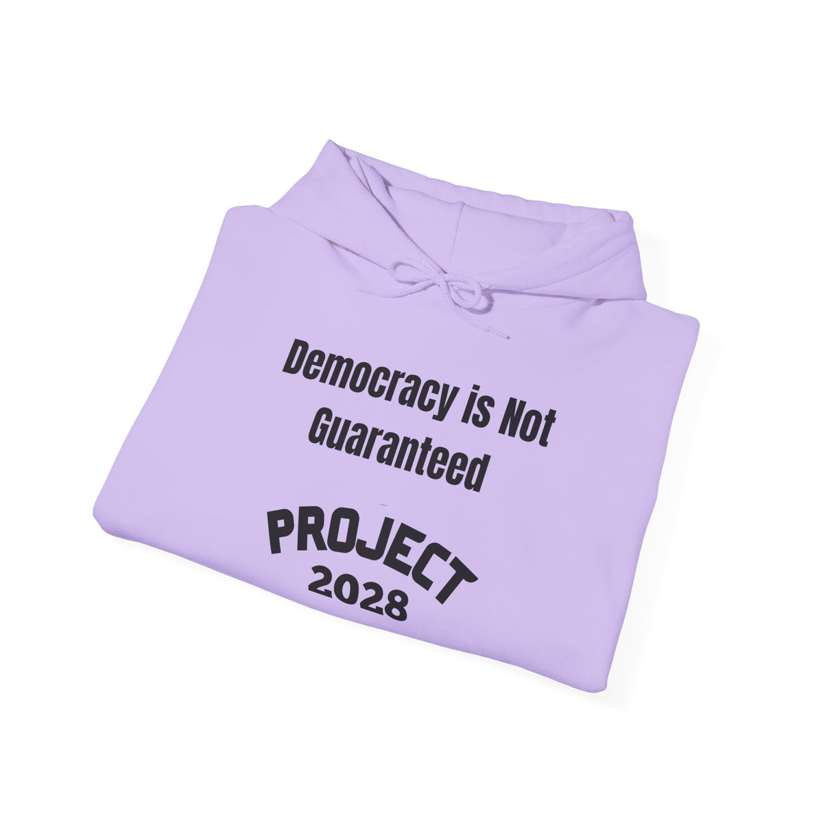 Project 2028 hoodie | Democracy | Social Awareness