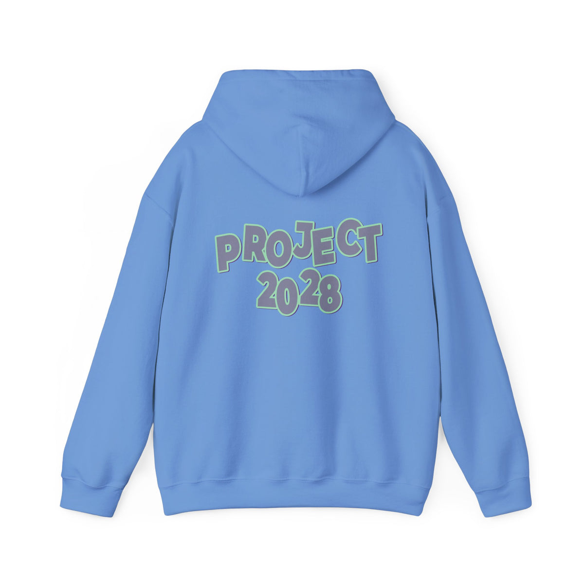 Project 2028 Hoodie | Protect Democracy graphic hoodie