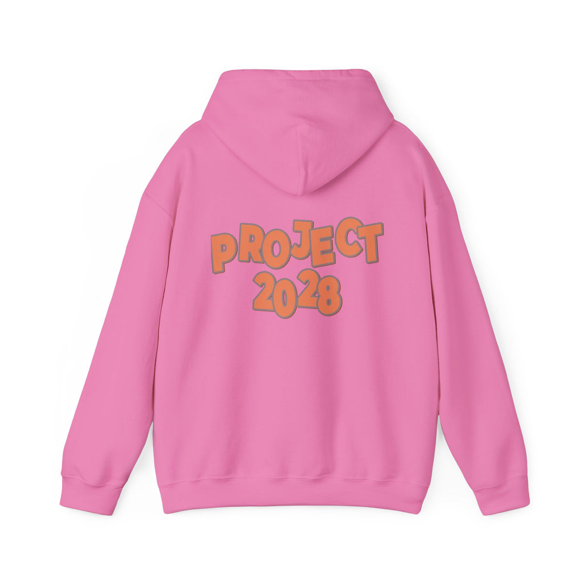 Protect Democracy Project 2028 Hoodie | Social Awareness