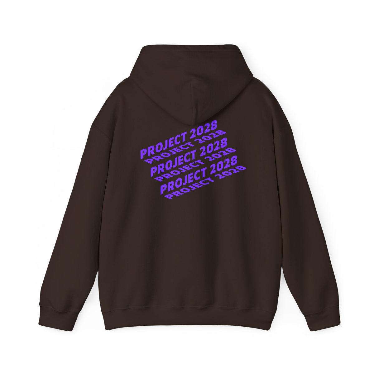 Project 2028 Hoodie | Social Justice