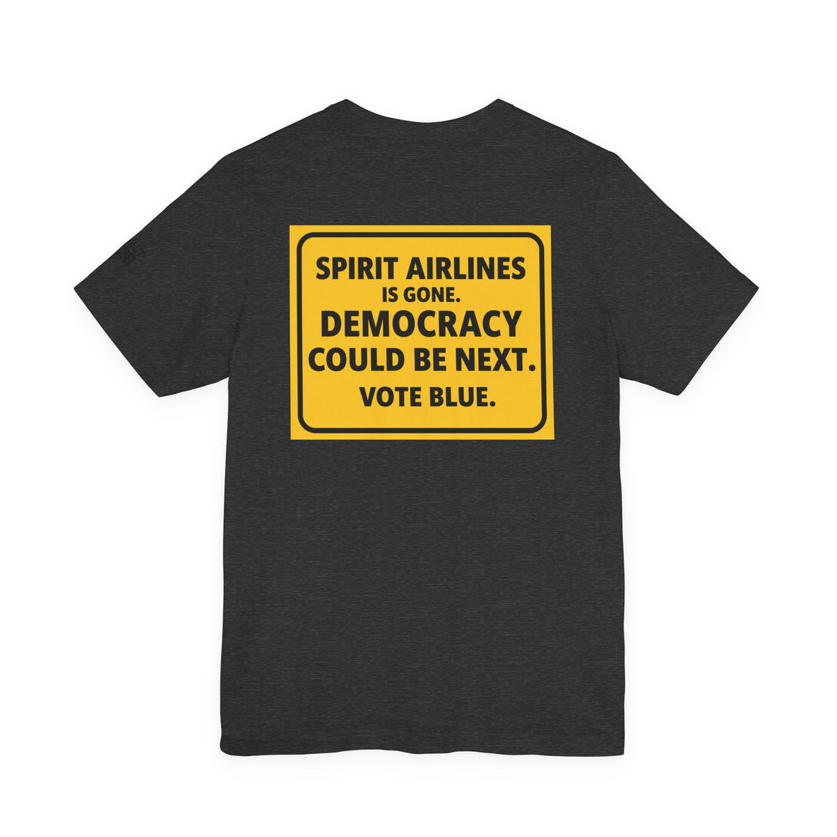 Project 2028 Graphic Tee — "Spirit Airlines Is Gone. Democracy Could Be Next. Vote Blue." Political Statement T-Shirt - Make a Statement Without Saying a Word!