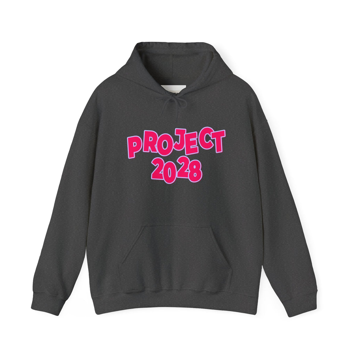 Project 2028 Hoodie | Social Awareness