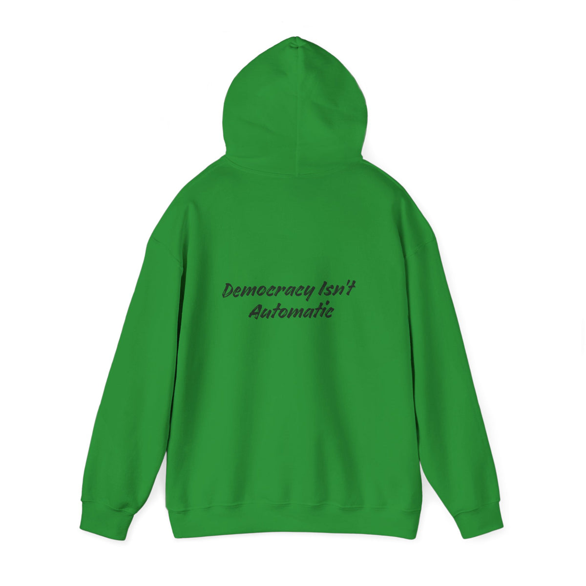 Protect Democracy Project 2028 Hoodie | Social Awareness