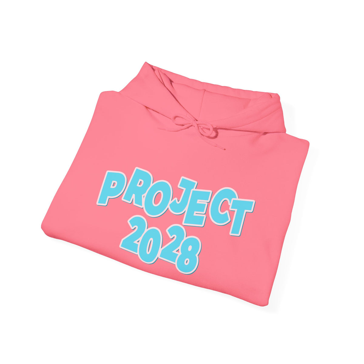 Project 2028 Hoodie | Democracy | Social Awareness