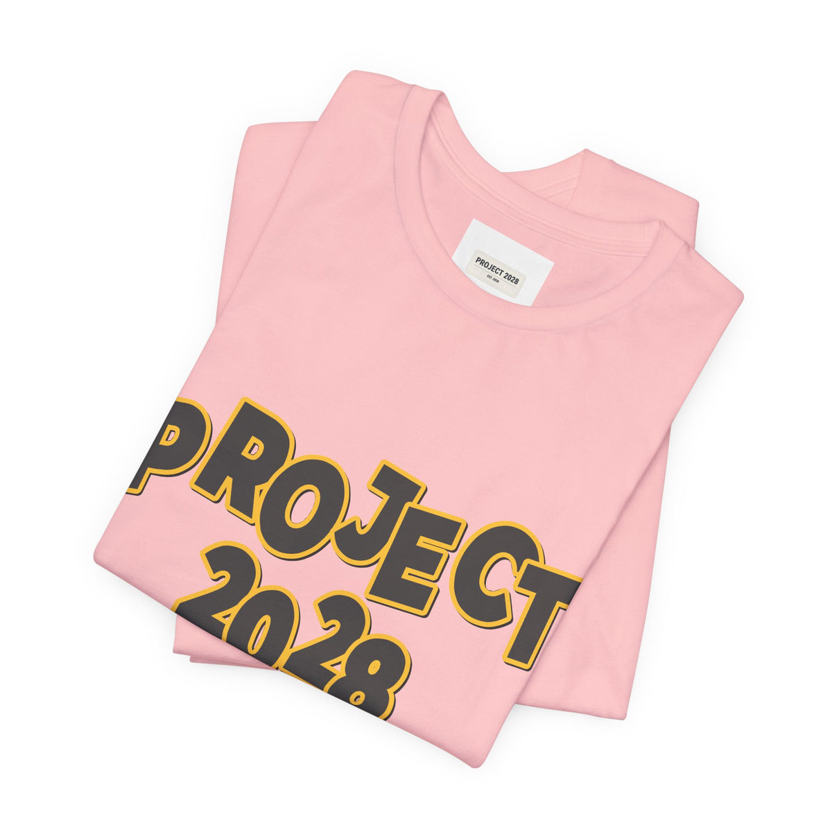 Project 2028 Graphic Tee — "Spirit Airlines Is Gone. Democracy Could Be Next. Vote Blue." Political Statement T-Shirt - Make a Statement Without Saying a Word!