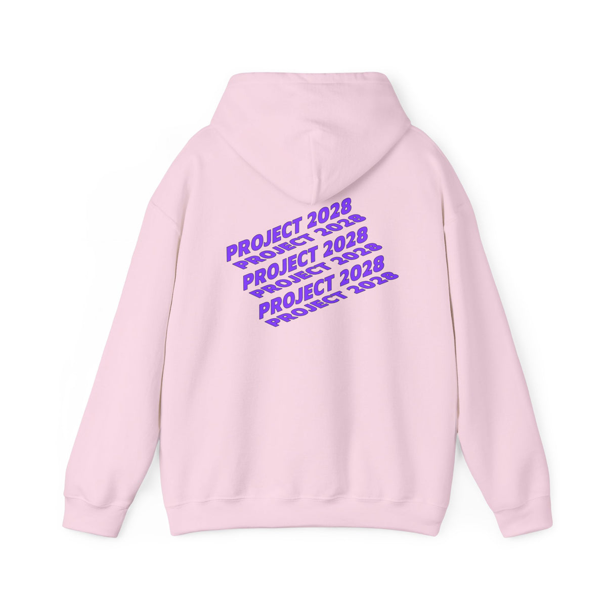 Project 2028 hoodie | Retro purple text design
