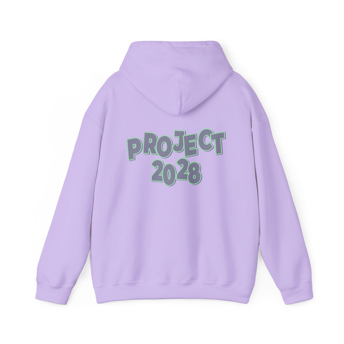 Project 2028 Hoodie | Protect Democracy graphic hoodie