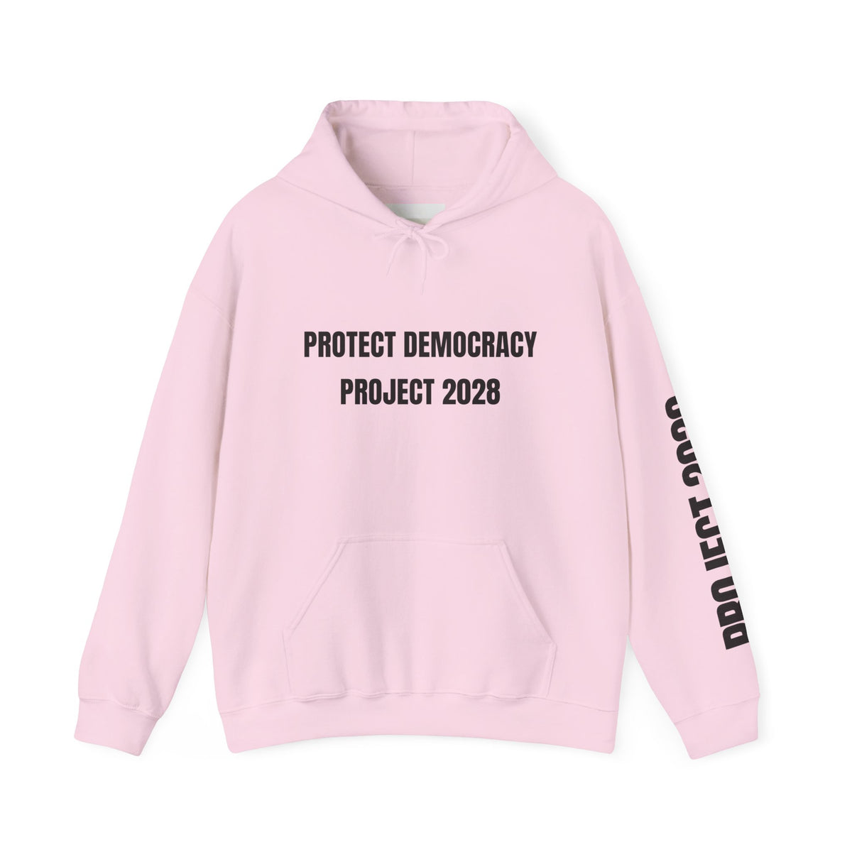 Protect Democracy Project 2028 Hoodie | Social Awareness