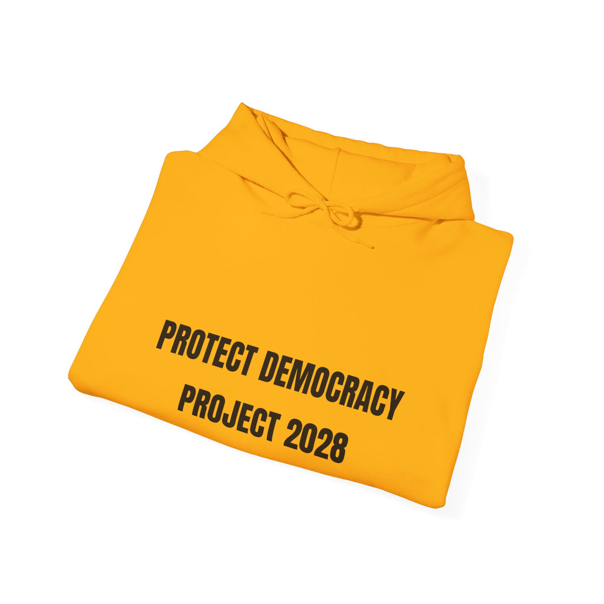 Protect Democracy Project 2028 Hoodie | Social Awareness