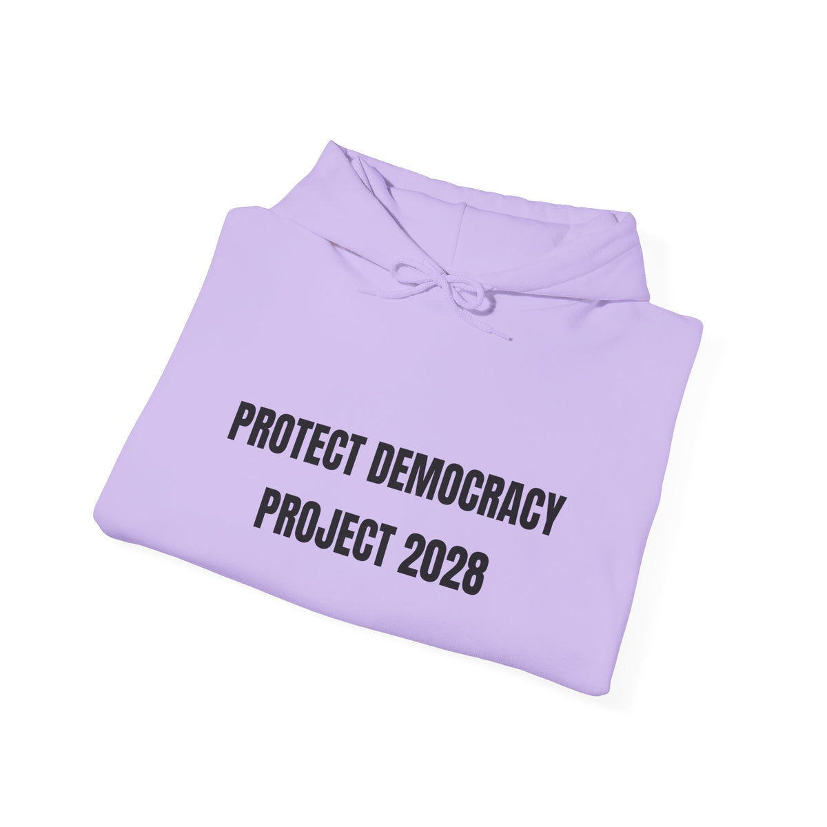 Protect Democracy Project 2028 Hoodie | Social Awareness