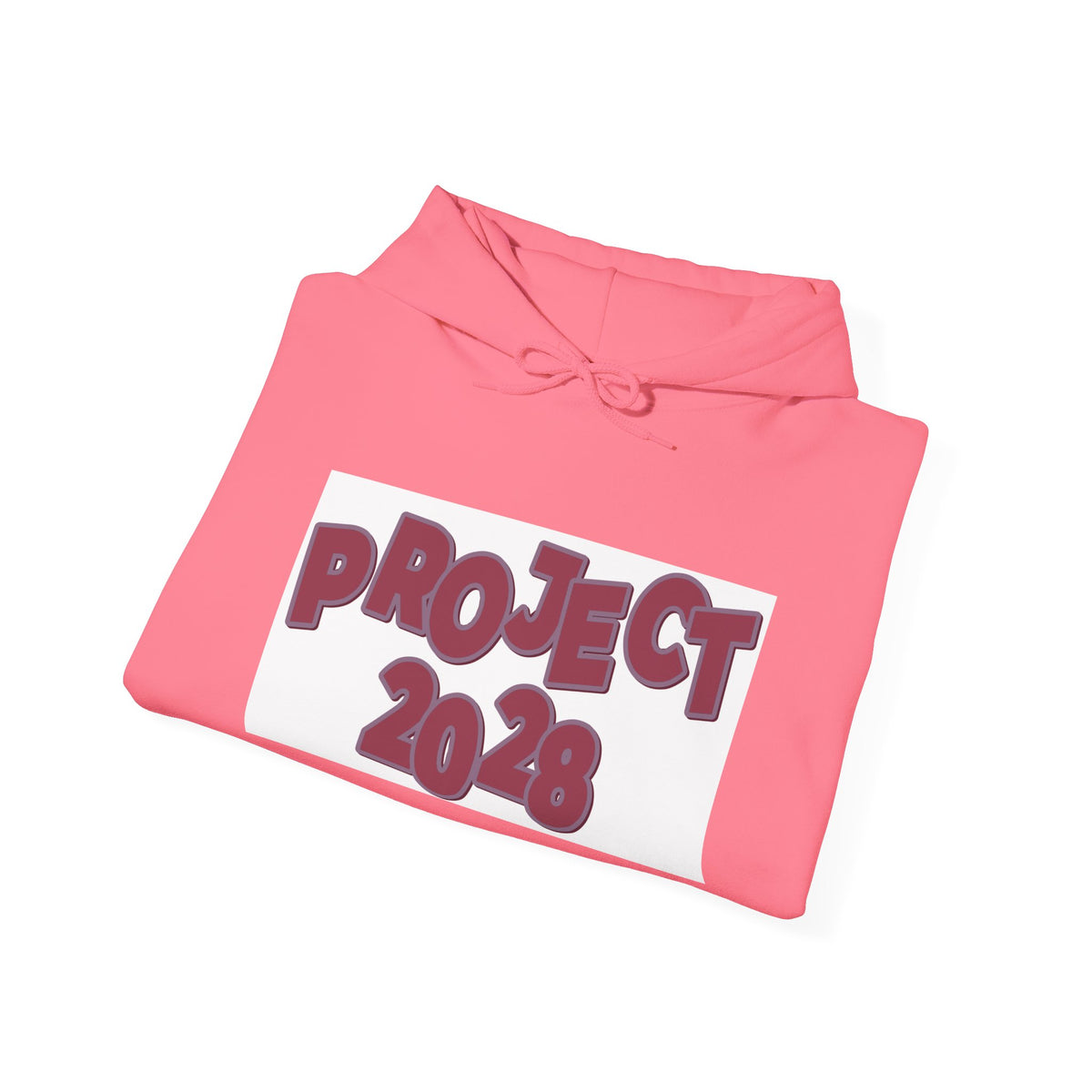 Project 2028 hoodie | Democracy Isn't Automatic back print