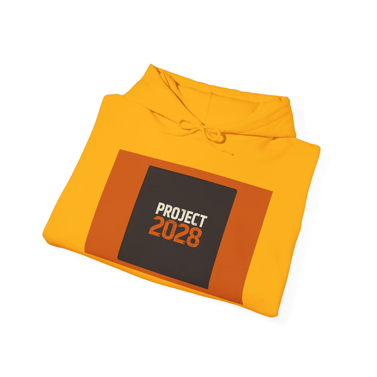 Project 2028 Graphic Hoodie | Democracy