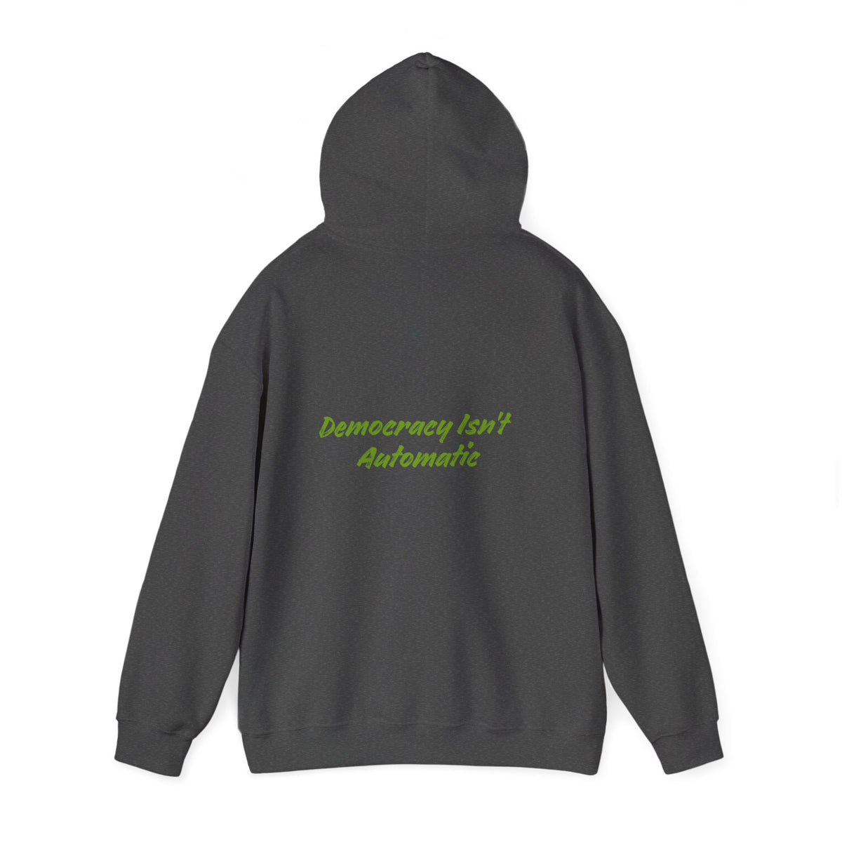 Project 2028 Hoodie | Democracy | Social Awareness