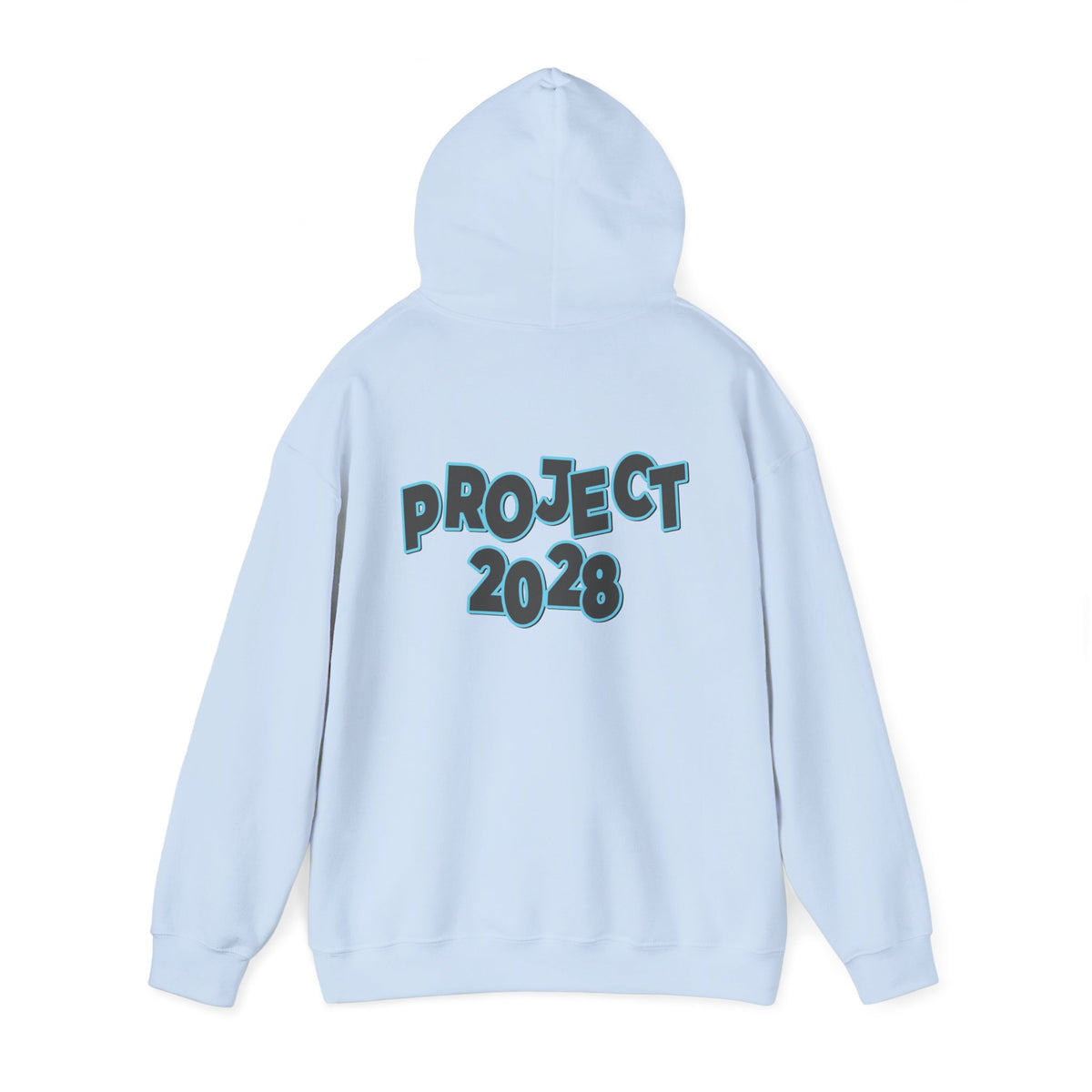 Project 2028 Hoodie | Protect Democracy, Project 2028 design