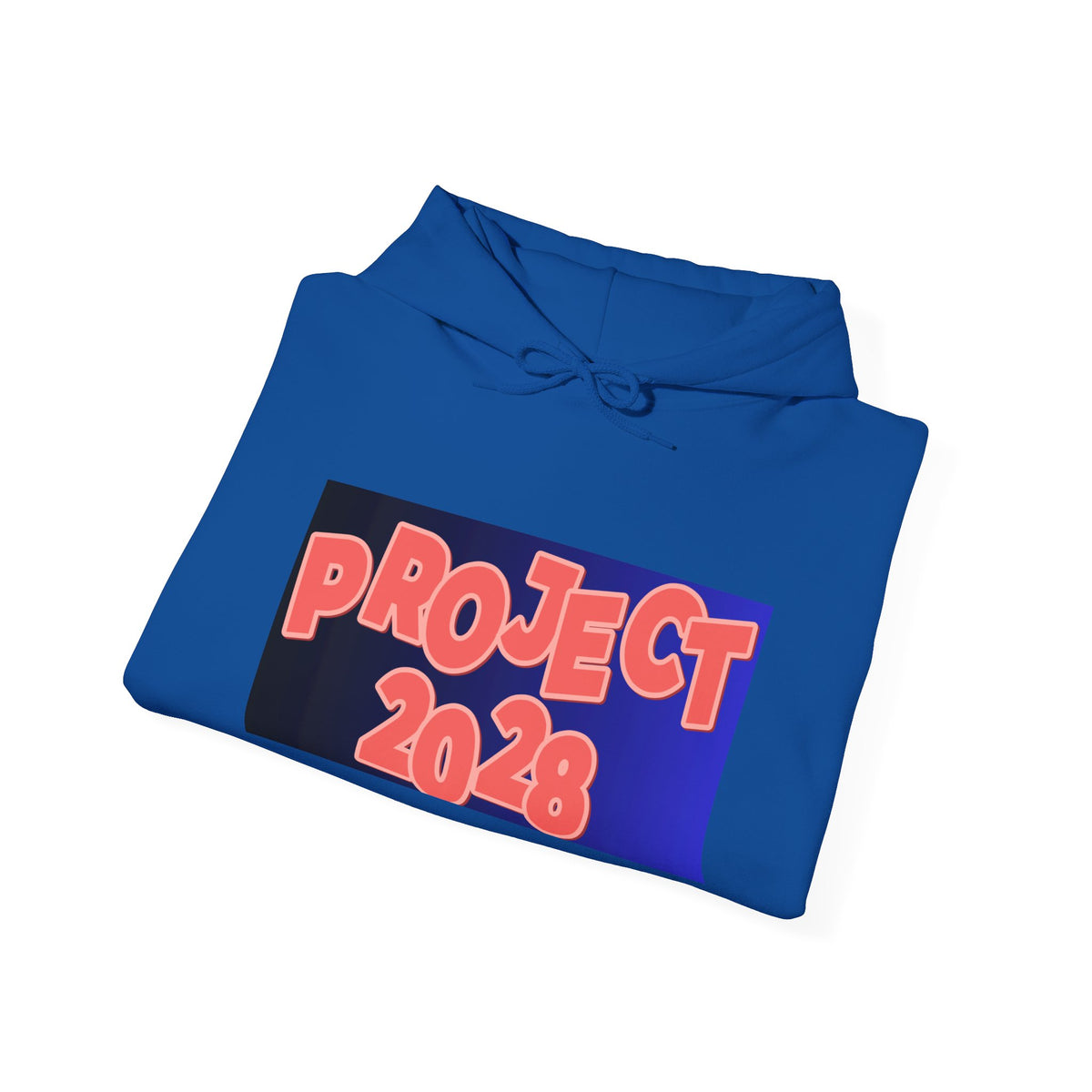 Project 2028 Hoodie | Social Justice