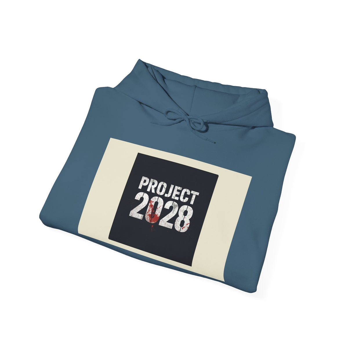 Product 2028 graphic hoodie | Democracy | Social Justice
