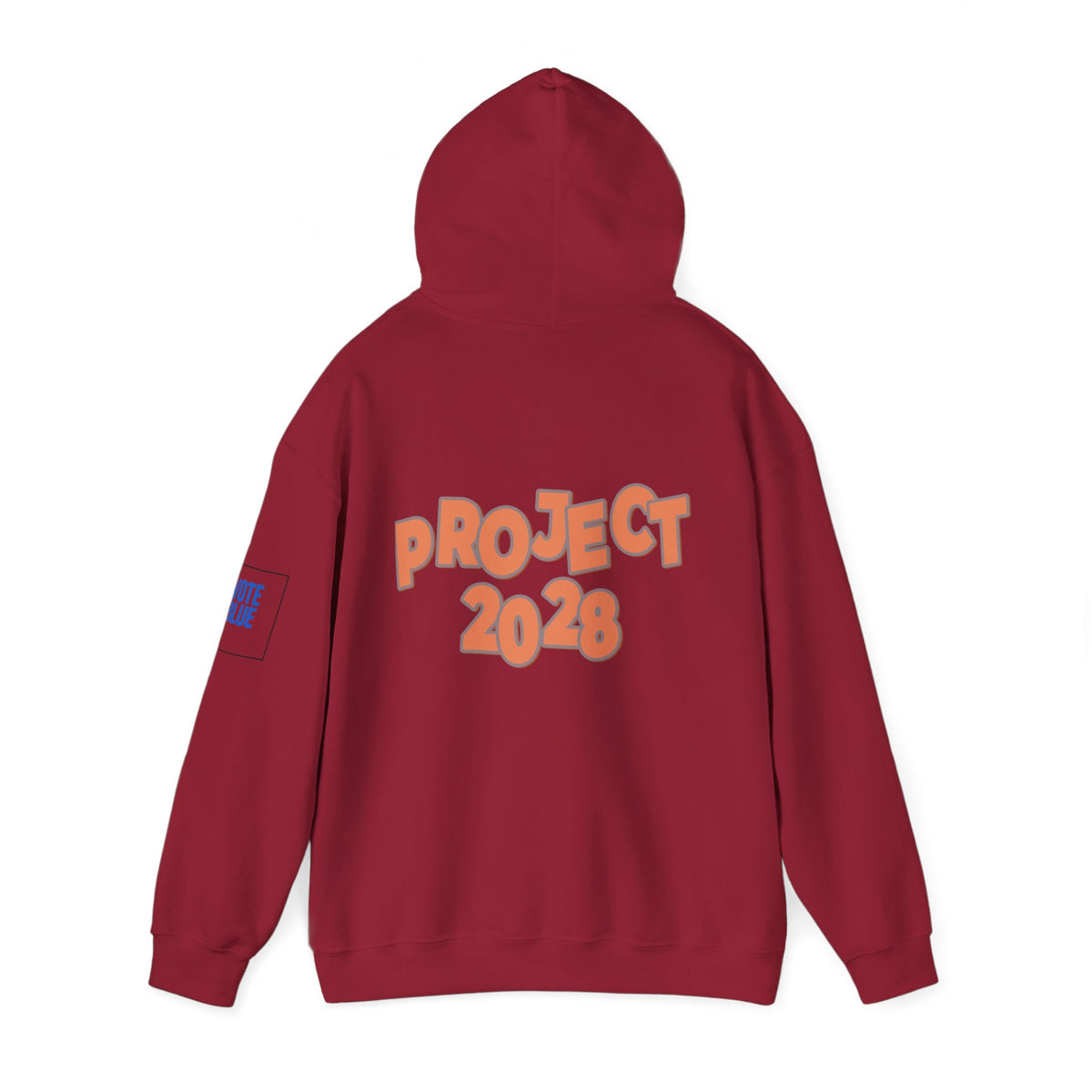 Protect Democracy Project 2028 Hoodie | Social Awareness