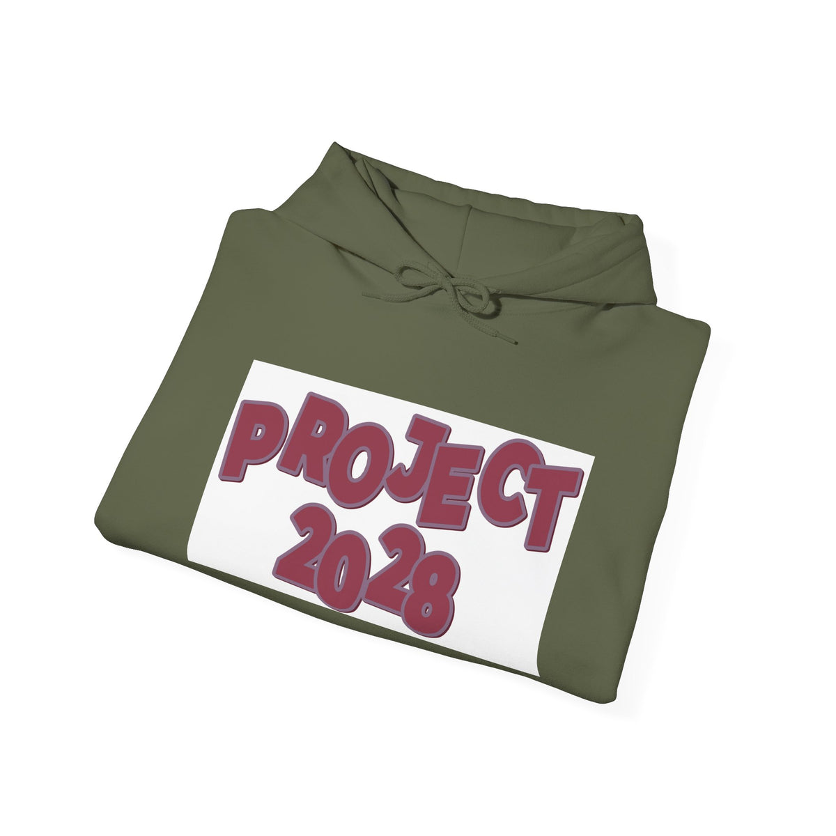 Project 2028 hoodie | Democracy Isn't Automatic back print
