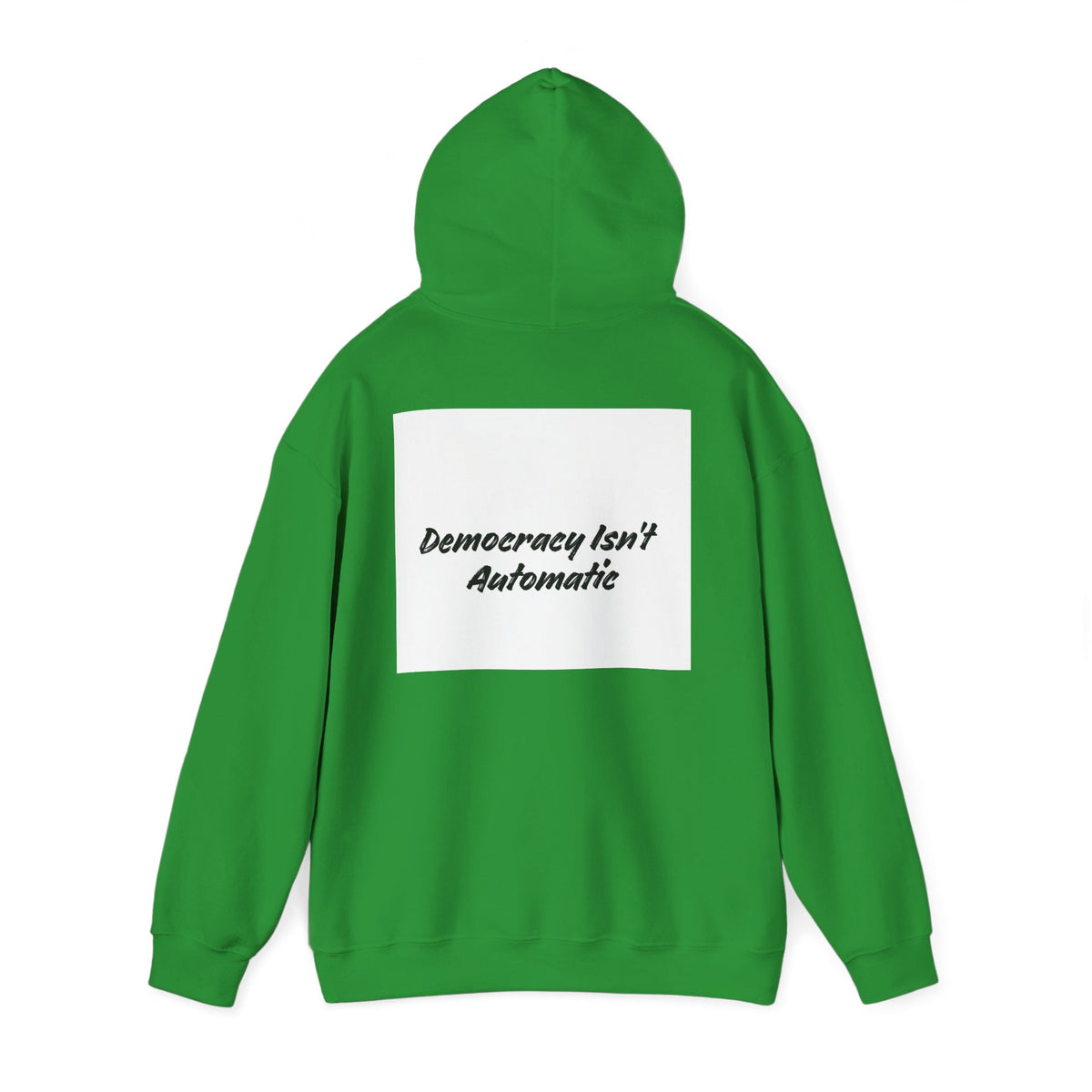 Protect Democracy Project 2028 Hoodie | Social Awareness
