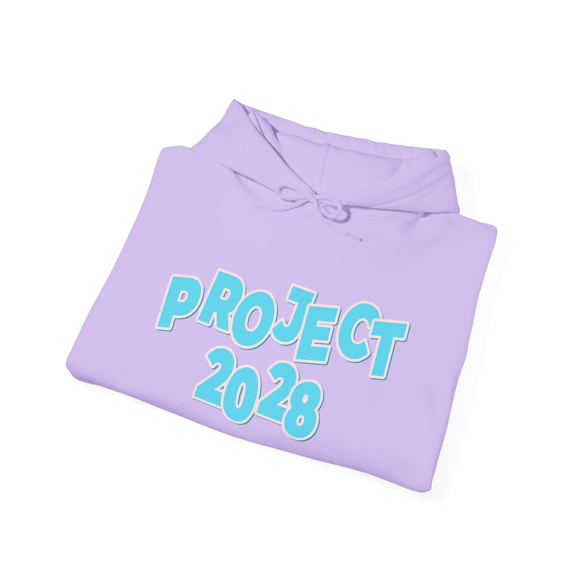 Project 2028 Hoodie | Democracy | Social Awareness