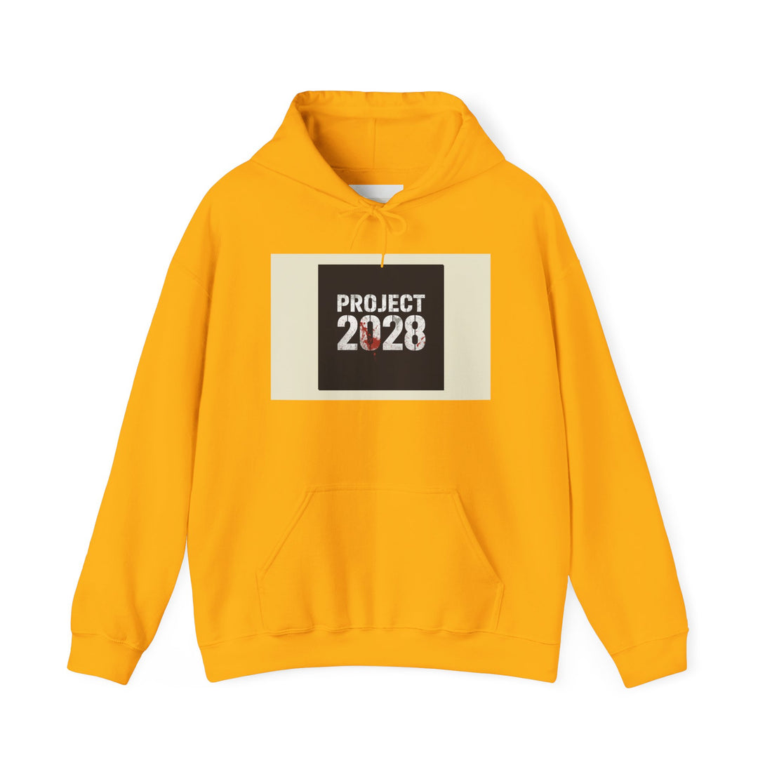 Product 2028 graphic hoodie | Democracy | Social Justice