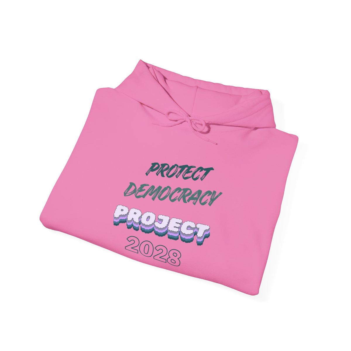 Project 2028 Hoodie | Protect Democracy, Project 2028 design