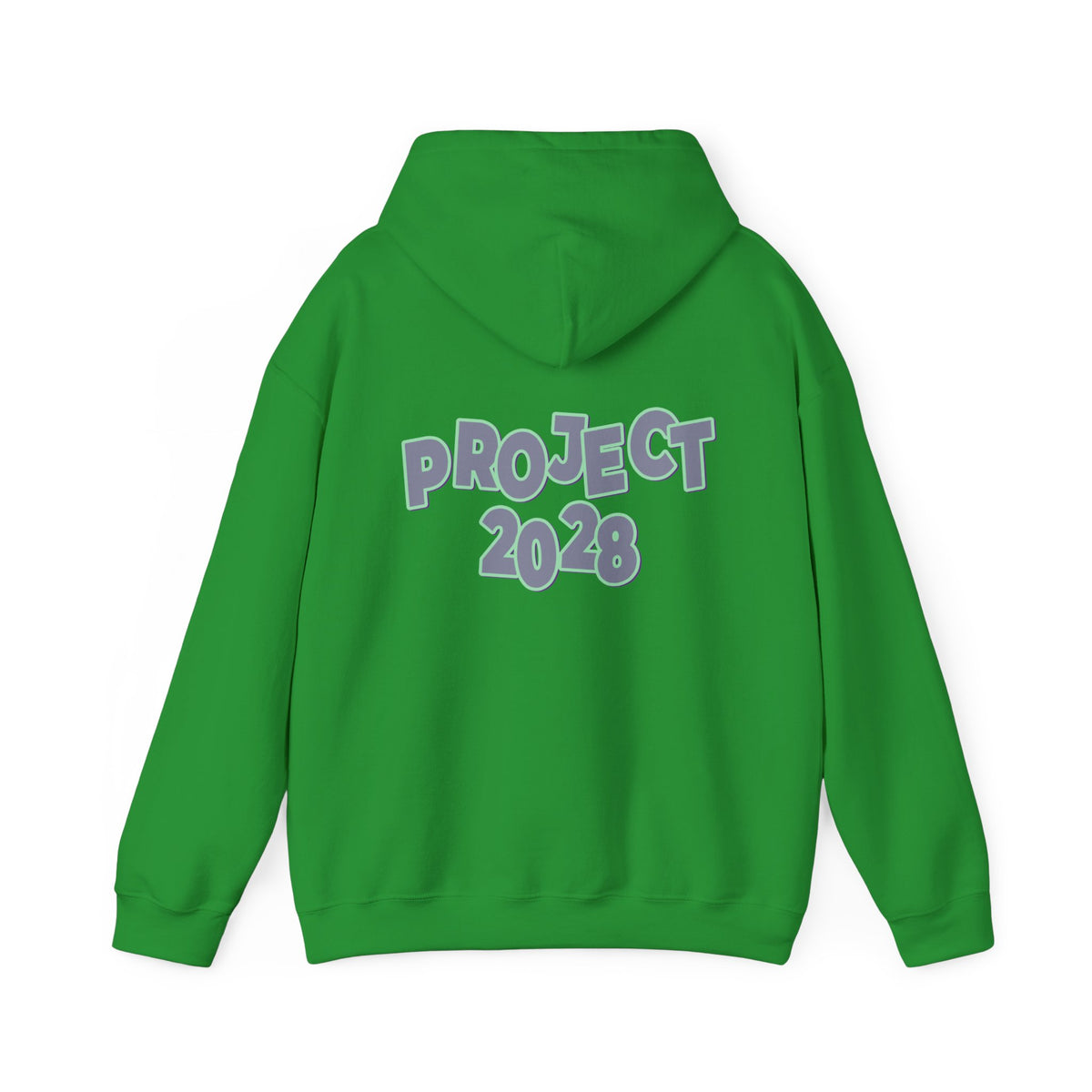 Project 2028 Hoodie | Protect Democracy graphic hoodie