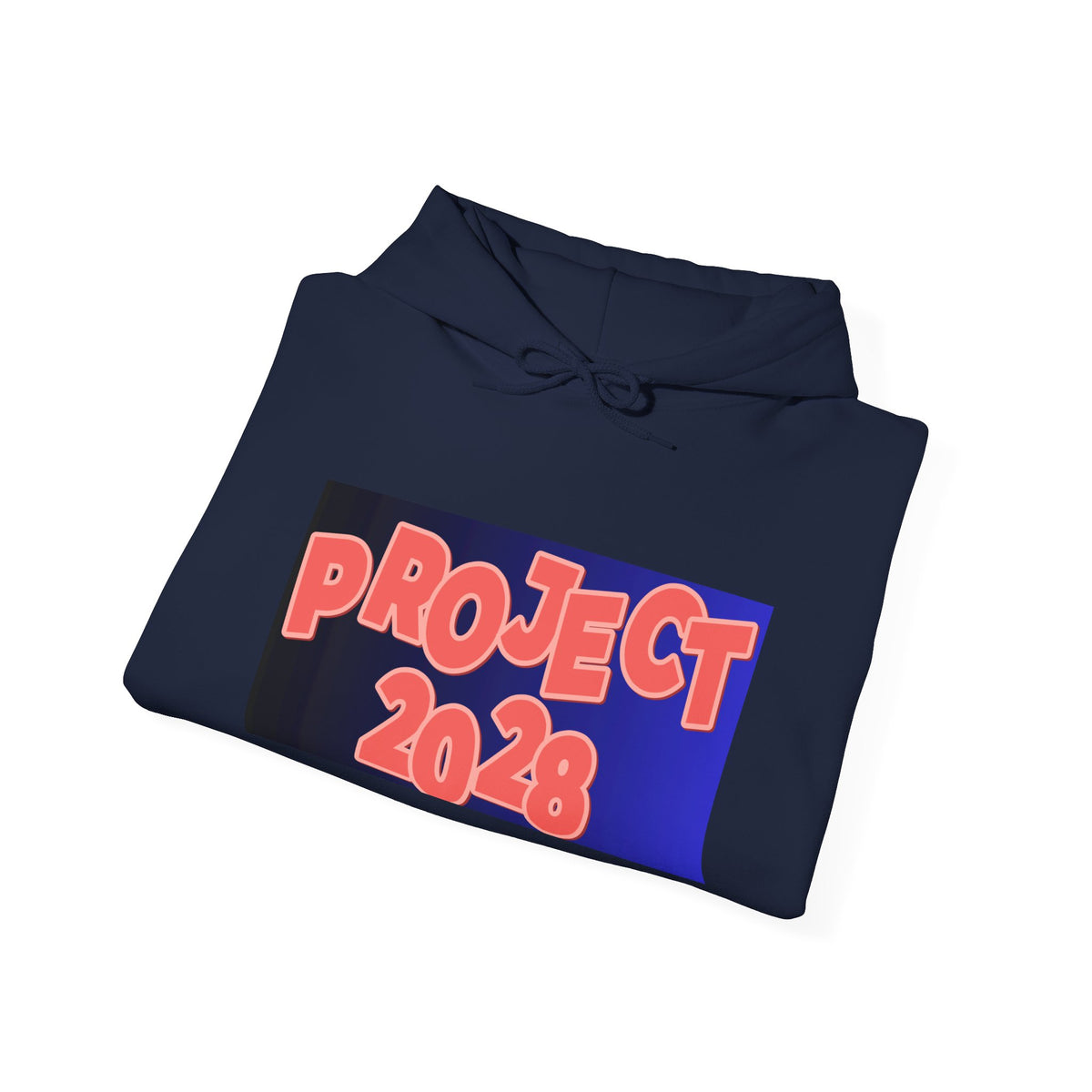 Project 2028 Hoodie | Social Justice