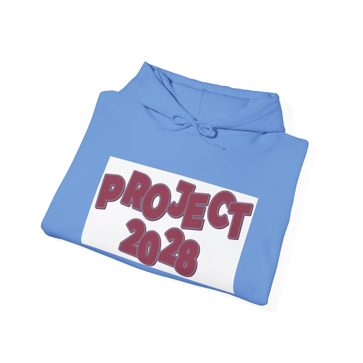 Project 2028 hoodie | Democracy Isn't Automatic back print