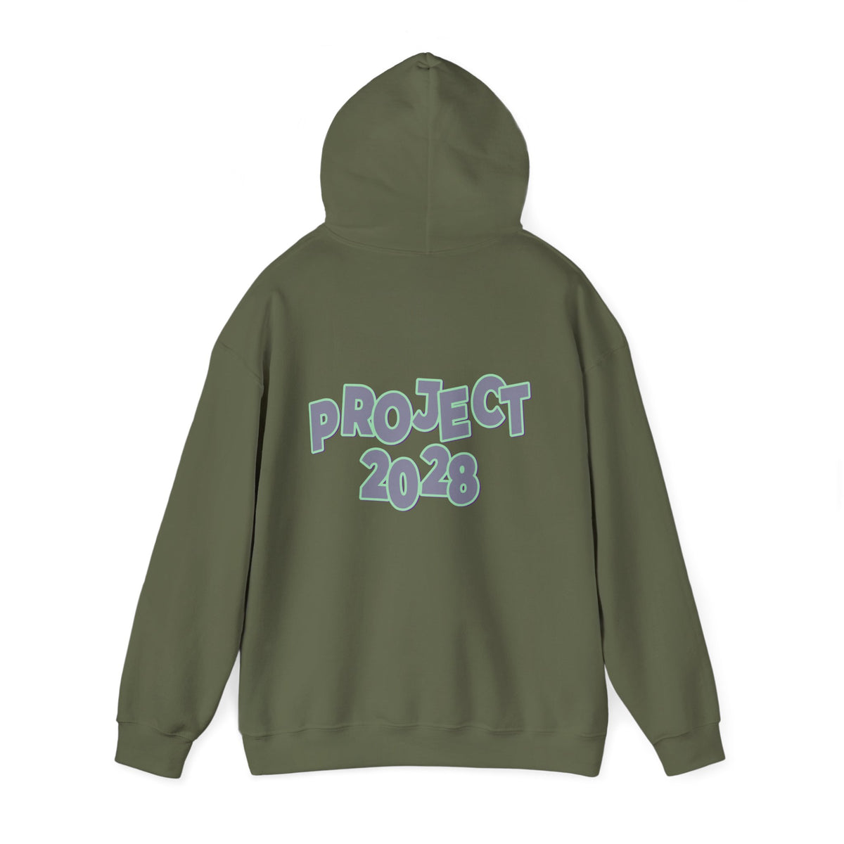 Project 2028 Hoodie | Protect Democracy graphic hoodie