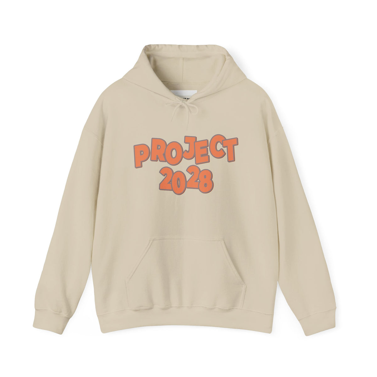 Project 2028 Hoodie | Democracy | Social Justice Message