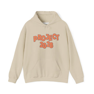 Project 2028 Hoodie | Democracy | Social Justice Message