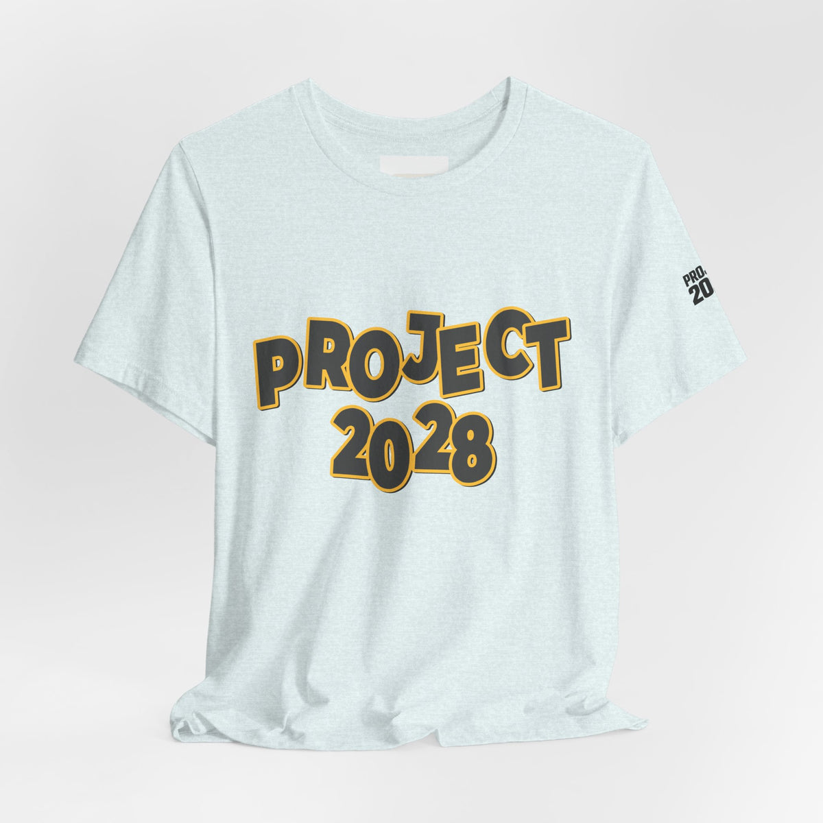 Project 2028 Graphic Tee — "Spirit Airlines Is Gone. Democracy Could Be Next. Vote Blue." Political Statement T-Shirt - Make a Statement Without Saying a Word!