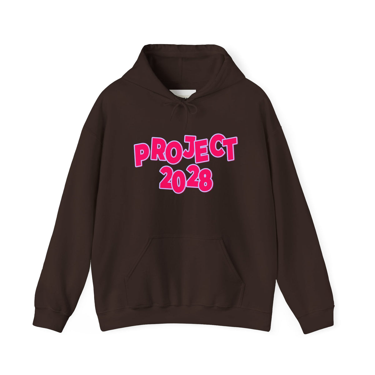 Project 2028 Hoodie | Social Awareness
