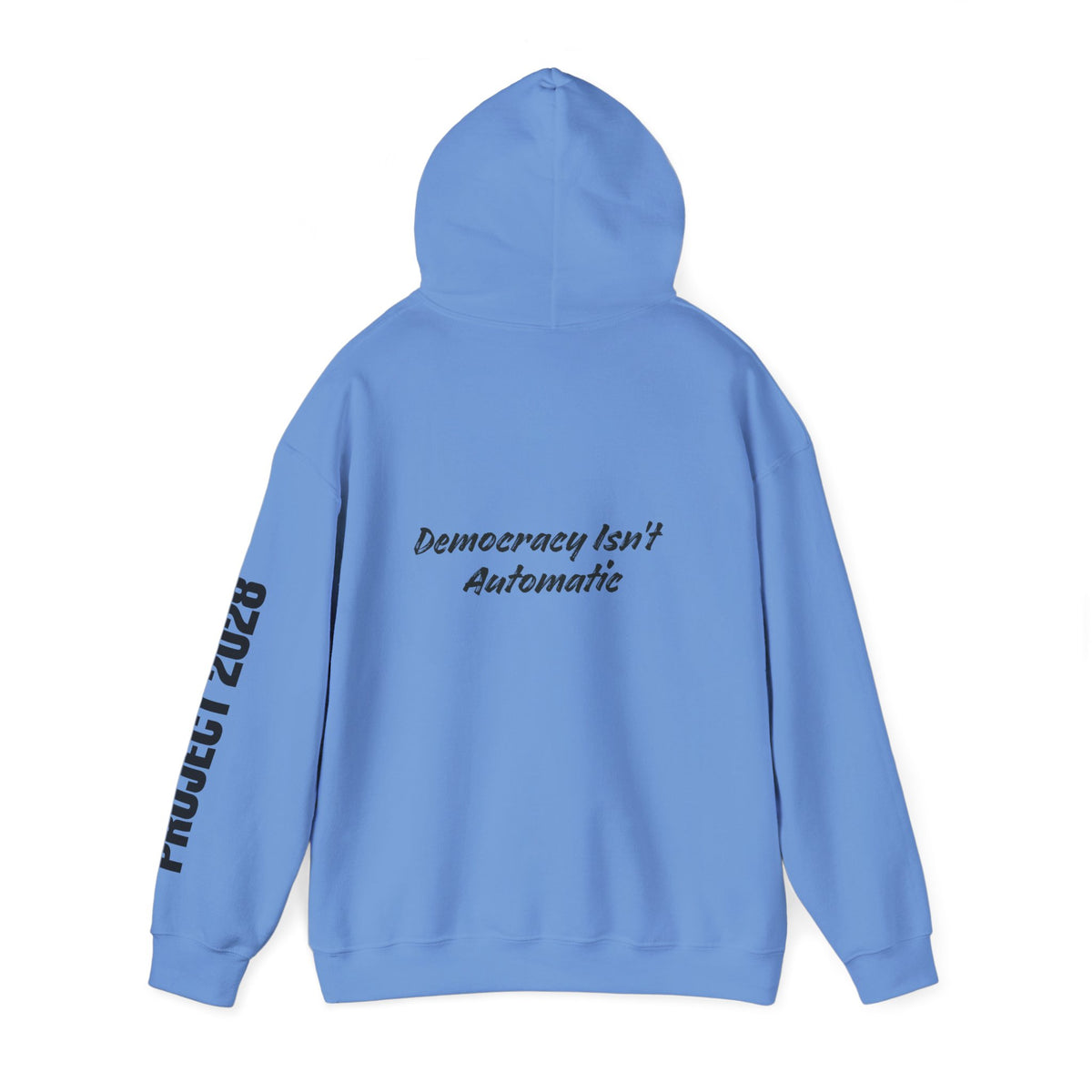 Protect Democracy Project 2028 Hoodie | Social Awareness
