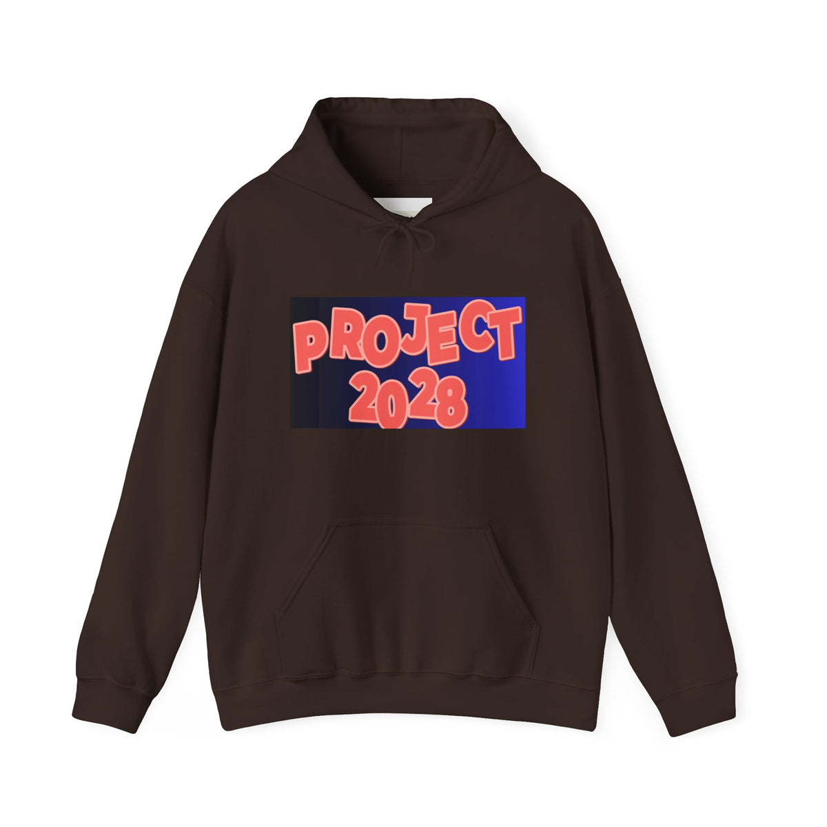 Project 2028 Hoodie | Social Justice