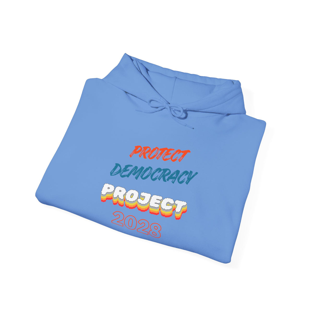 Protect Democracy Project 2028 Hoodie | Social Awareness
