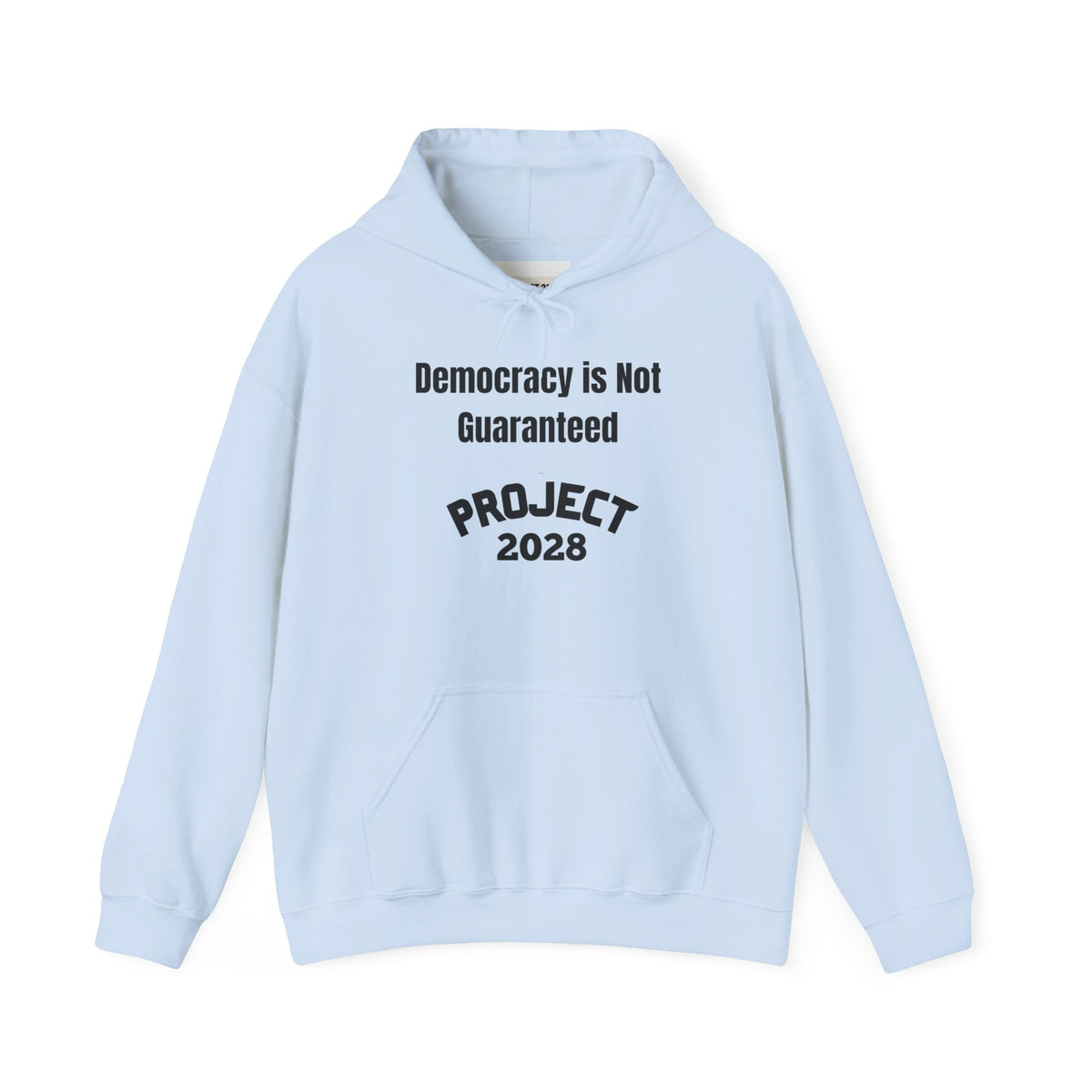 Copy of Project 2028 hoodie | Democracy | Social Awareness